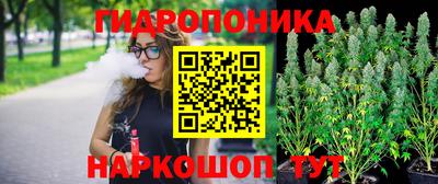 ПСИЛОЦИБИНОВЫЕ ГРИБЫ Краснодар