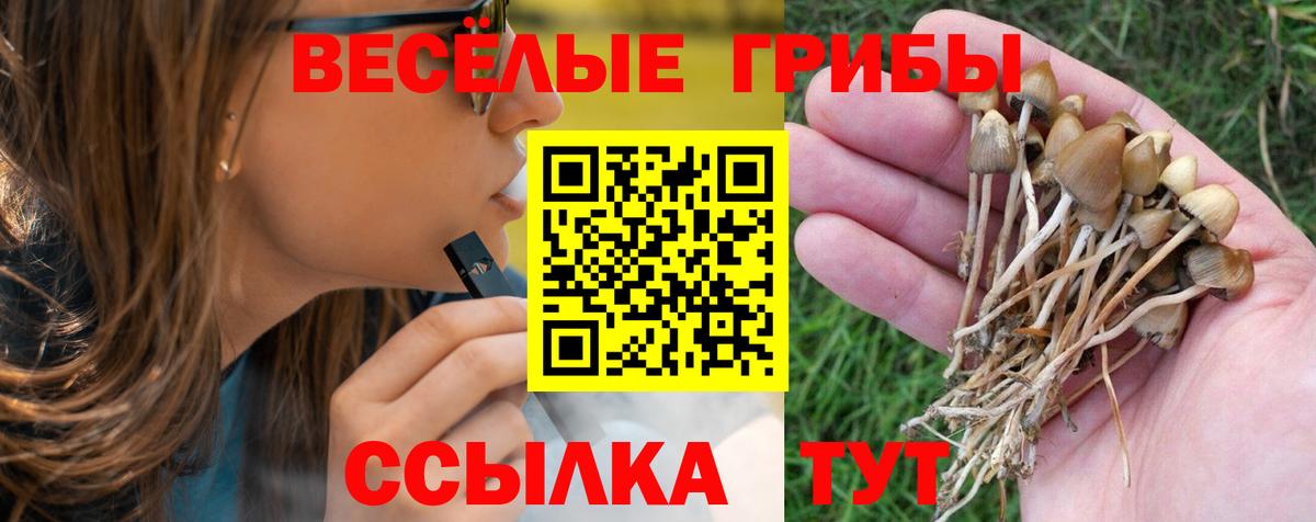 Галлюциногенные грибы прущие грибы  Вход с VPN  Люберцы  Галлюциногенные грибы мухоморы 
